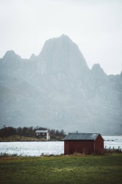 Doğa Kuzey Norveç'te Andoya Adası'nda