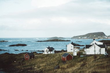 Doğa Kuzey Norveç'te Andoya Adası'nda