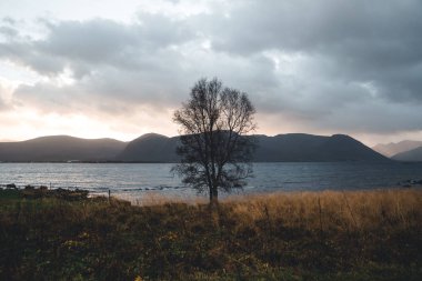 Doğa Kuzey Norveç'te Andoya Adası'nda