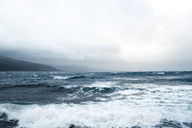 Doğa Kuzey Norveç'te Andoya Adası'nda