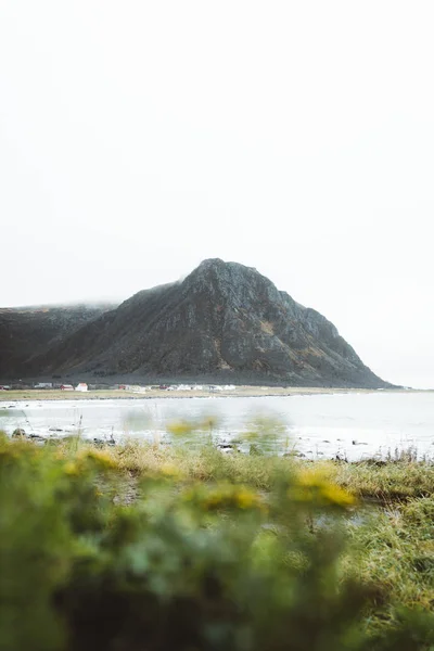 Φύση Στο Νησί Andoya Βόρεια Νορβηγία — Φωτογραφία Αρχείου