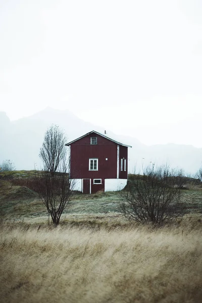 Naturaleza Isla Andoya Norte Noruega — Foto de Stock