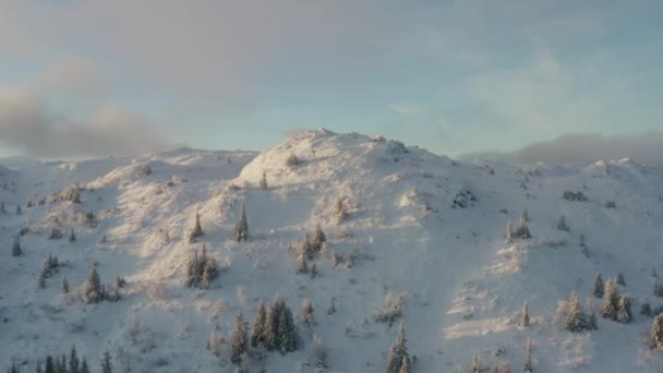 Bosque Invierno Nevado Sur Noruega — Vídeo de stock