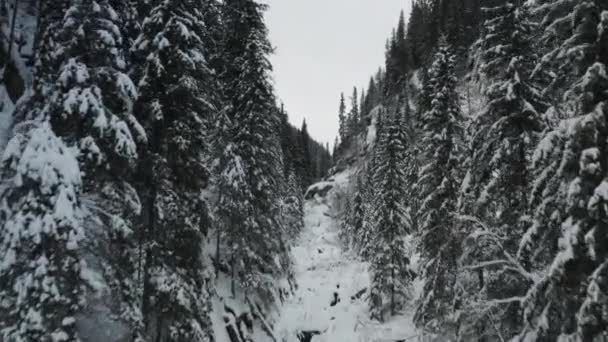 Snowy Winter Woud Zuid Noorwegen — Stockvideo