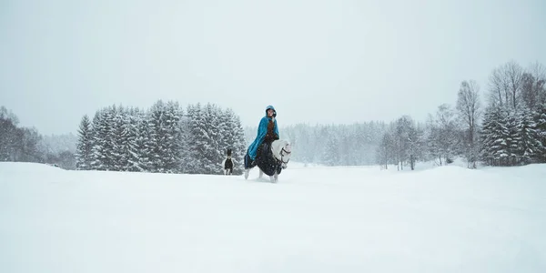 Paard Buiten Winter — Stockfoto