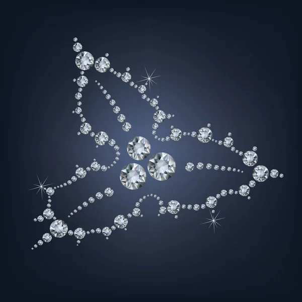 Holly Laisse Décoration Avec Baies Fait Beaucoup Diamants — Image vectorielle