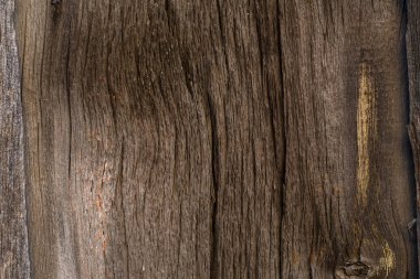 eski kararmış ağaç yakın çekim doku