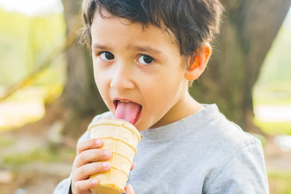 Chico Ojos Marrones Comiendo Helado Parque —  Fotos de Stock