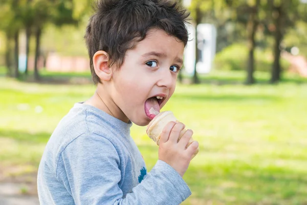 Brown Eyed Boy Eating Ice Cream Park — Stock Photo, Image