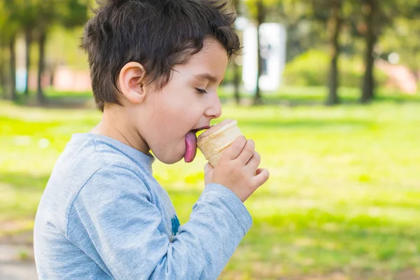 Brown Eyed Boy Eating Ice Cream Park — Stock Photo, Image