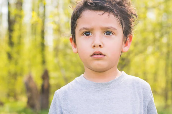 Portrait Boy Years Old Natural Background — Stock Photo, Image