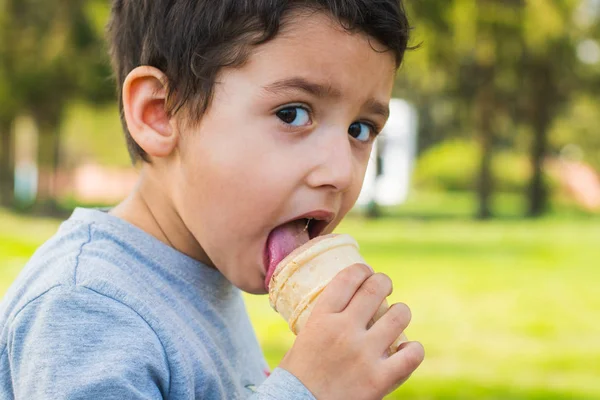 Brown Eyed Boy Eating Ice Cream Park — Stock Photo, Image