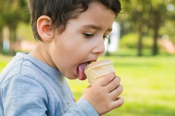 Brown Eyed Boy Eating Ice Cream Park — Stock Photo, Image