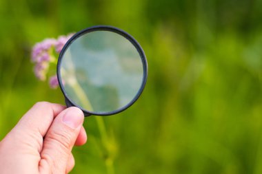 arka plan bitki üzerinde büyüteçle el