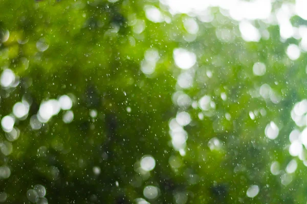 Fundo Desfocado Gotas Chuva Fundo Árvore Verde — Fotografia de Stock