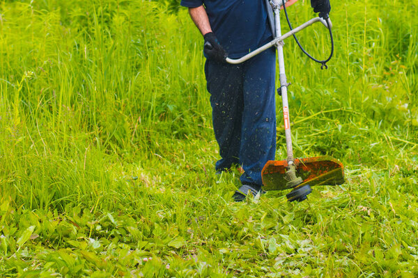man with a manual lawn mower mows the grass