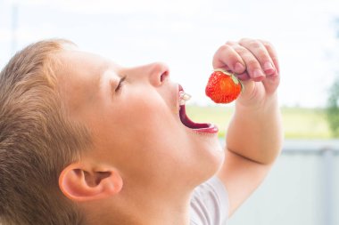 9 yıl yaşlı erkek çocuk çilek ağzına koyar