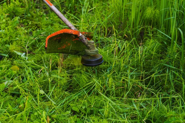 Klippa Gräs Gräsklippare Närbild — Stockfoto