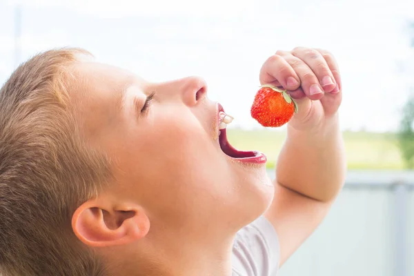 Year Old Boy Puts Strawberries His Mouth — Stock Photo, Image