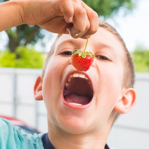 Niño Años Pone Fresas Boca —  Fotos de Stock