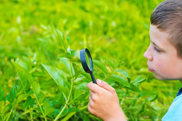 Adolescente Trata Las Plantas Través Una Lupa — Foto de Stock