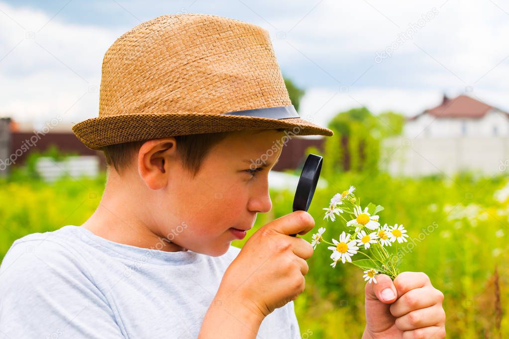 boy in the hat looking at the daisies through a magnifying glass
