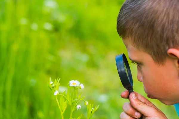 Adolescente Trata Las Plantas Través Una Lupa — Foto de Stock