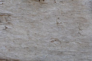 ahşap arka plan. Eski ağaç. doku.