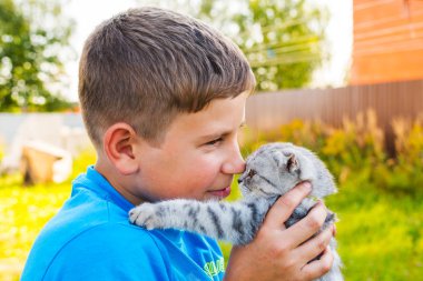bir yavru kedi ile açık havada yaz aylarında oynayan çocuk