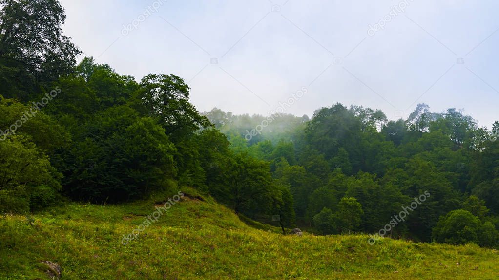 fog over the forest in the highlands. small Caucasus mountains