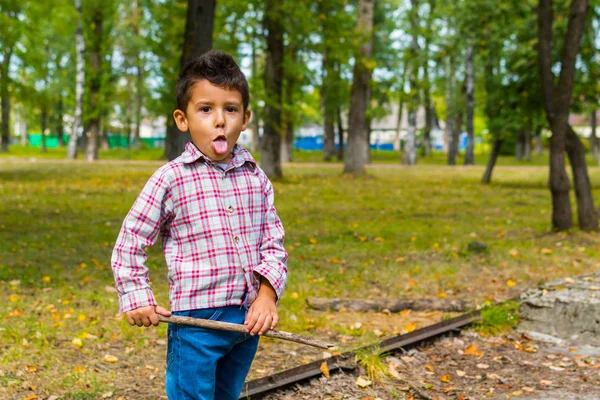 Niño Tontamente Jugando Parque Otoño —  Fotos de Stock