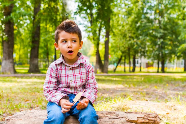 Niño Sentado Tronco Parque Con Una Hoja Amarilla —  Fotos de Stock