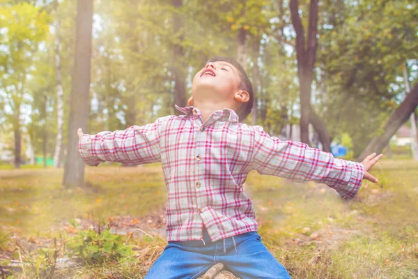 Niño Levantó Las Manos Disfruta Del Aire Fresco — Foto de Stock