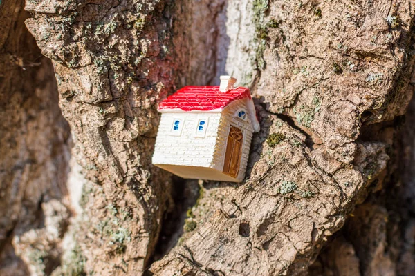 toy house on the tree. Concept