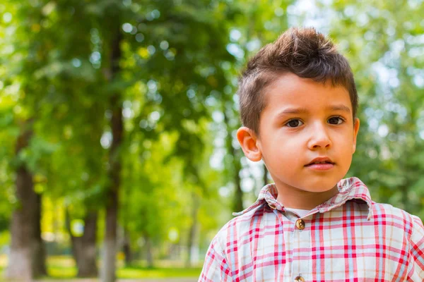 Portrait Boy Background Trees Autumn — Stock Photo, Image