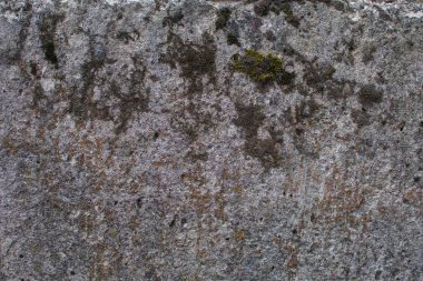 gri beton doku yakın çekim