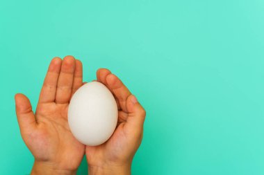 bir çocuğun elinde mavi bir arka plan üzerinde beyaz tavuk yumurta