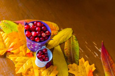 Dekoratif kovalar kızılcık çilek