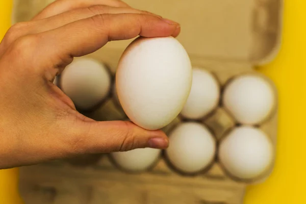 egg in hand on background of other eggs