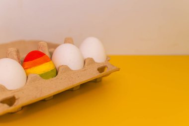sıradan beyaz yumurta ile bir renkli yumurta bir paket. Lgbt kavramı