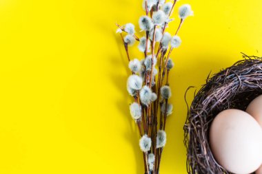 tavuk yumurtası söğüt bir dal ile bir yuvada. Mutlu Paskalya kavramı.