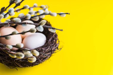 tavuk yumurtası söğüt bir dal ile bir yuvada. Mutlu Paskalya kavramı.