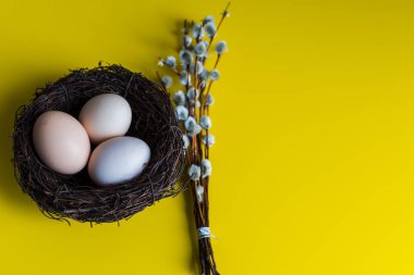 tavuk yumurtası söğüt bir dal ile bir yuvada. Mutlu Paskalya kavramı.