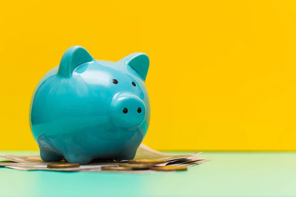 piggy Bank on yellow background