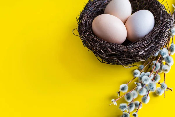 Chicken Eggs Nest Twig Willow Happy Easter Concept — Stock Photo, Image