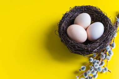tavuk yumurtası söğüt bir dal ile bir yuvada. Mutlu Paskalya kavramı.