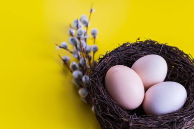 tavuk yumurtası söğüt bir dal ile bir yuvada. Mutlu Paskalya kavramı.