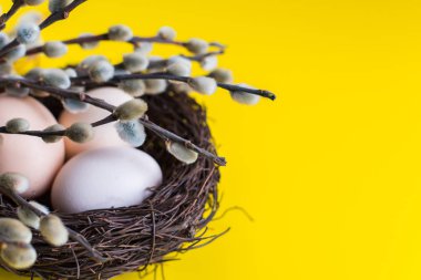 tavuk yumurtası söğüt bir dal ile bir yuvada. Mutlu Paskalya kavramı.