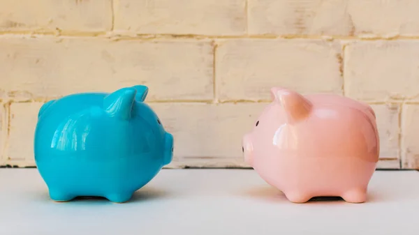 Twee Piggy Banks Investeringen Concept — Stockfoto