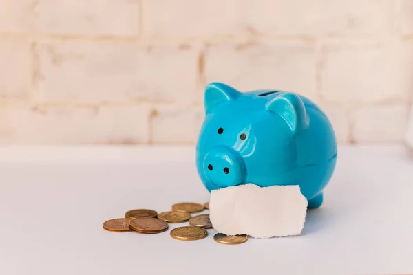 Blue Piggy Bank Com Moedas Russas Fundo Claro — Fotografia de Stock